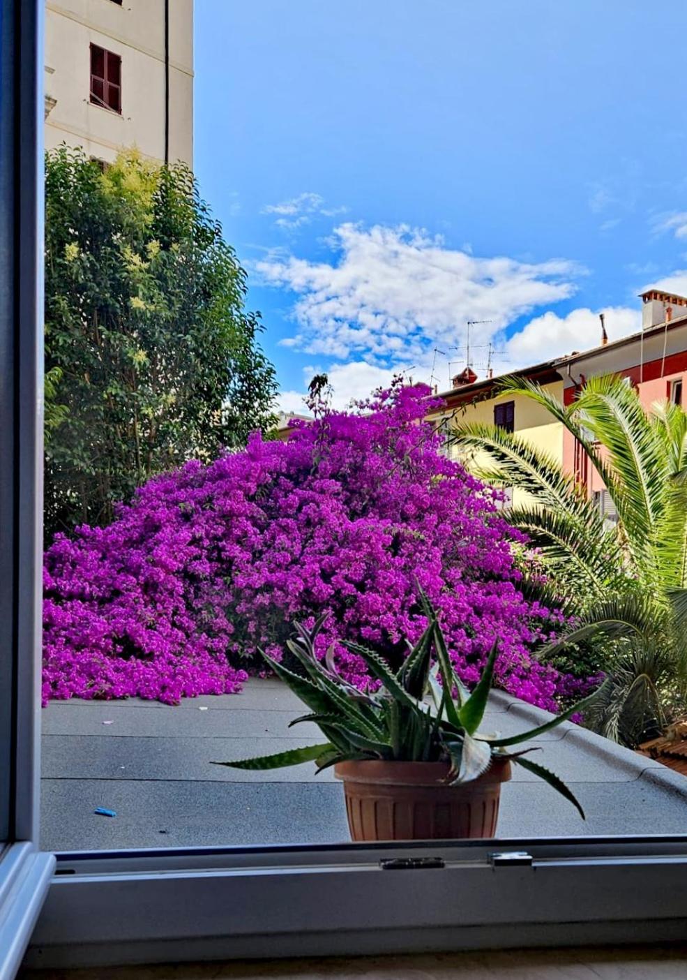 Ancora Qui, Nel Golfo Dei Poeti Apartamento La Spezia Exterior foto